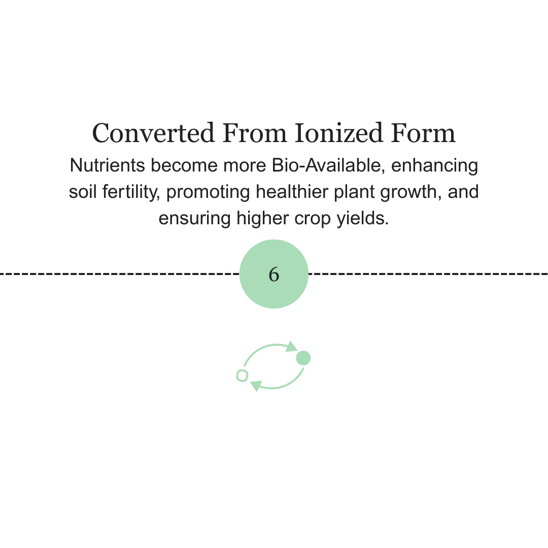 Slide 6